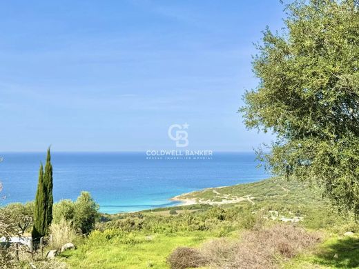 Land in Corbara, Upper Corsica