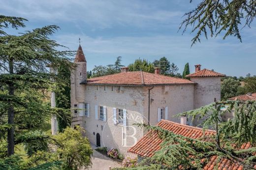 Castle in Albi, Tarn