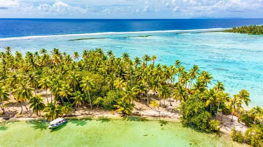 Insel in Tahaa, Îles Sous-le-Vent