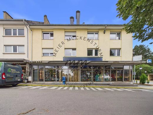 Apartament w Howald, Hesperange