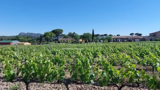 Landhaus / Bauernhof in La Motte, Var