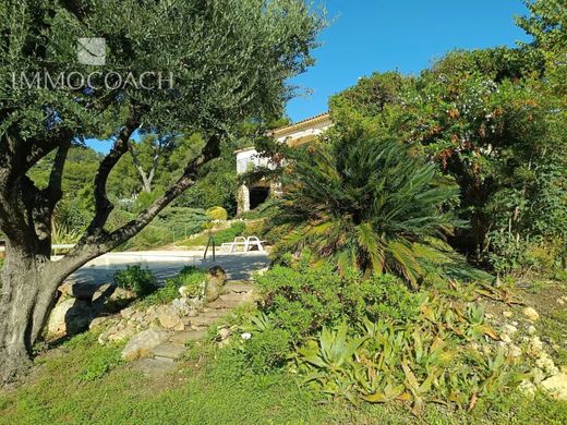 ‏וילה ב  Carqueiranne, Var