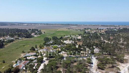 Land in Comporta, Alcácer do Sal
