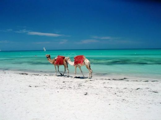 Ξενοδοχείο σε Playa Sidi Mehrez, Jerba Midoun