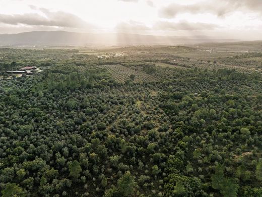 Land in Borba, Distrito de Évora