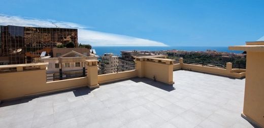 Apartment / Etagenwohnung in Monaco