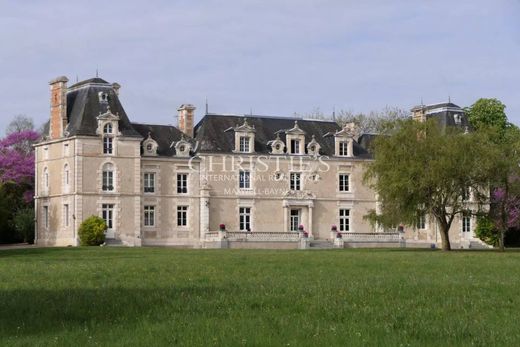 Κάστρο σε Dienné, Vienne