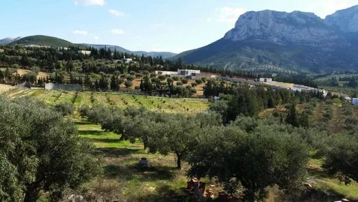 Rural ou fazenda - La Sebala du Mornag, Gouvernorat de Ben Arous