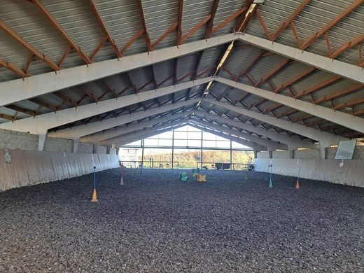 Элитный дом, La Réole, Gironde