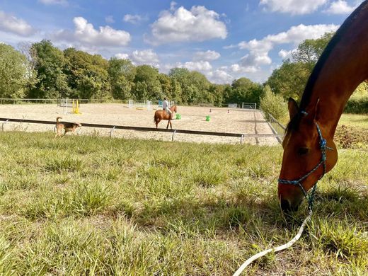 Rustico o Casale a Pontoise, Val d'Oise