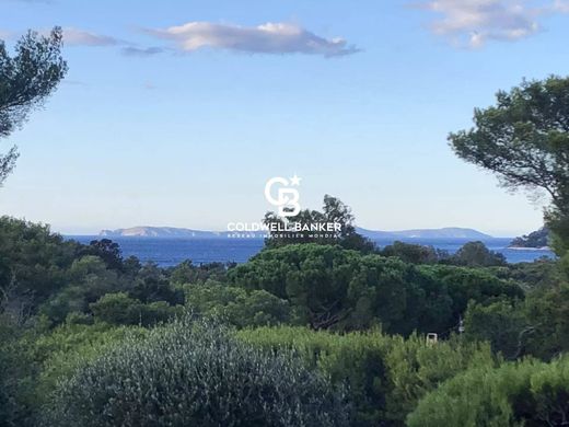 ‏קרקע ב  La Croix-Valmer, Var