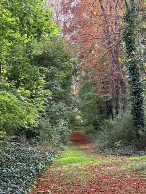 Casa de luxo - Bois-le-Roi, Seine-et-Marne
