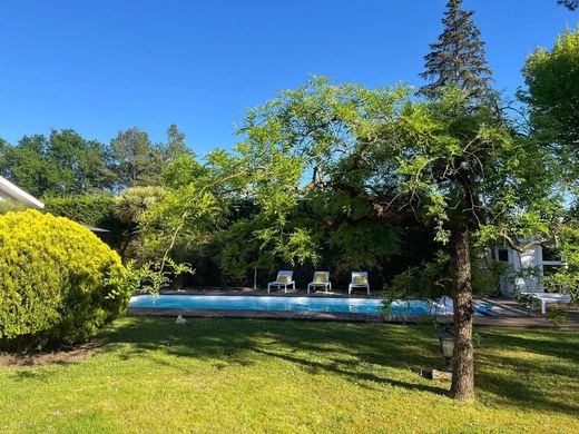 Luksusowy dom w Pessac, Gironde