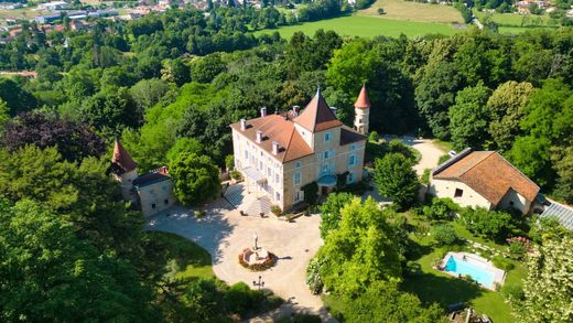Castle in Bourg-en-Bresse, Ain
