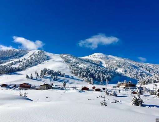 Chalet in Gréolières, Alpes-Maritimes