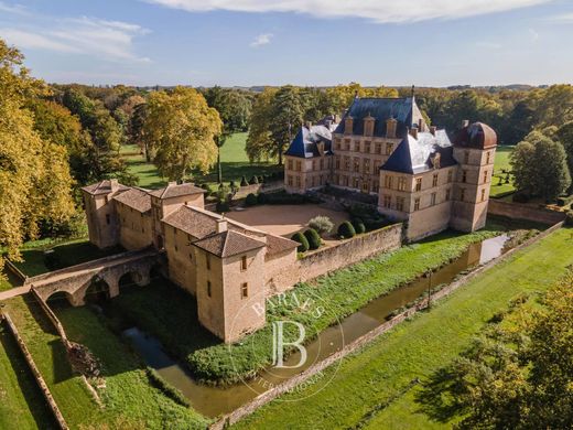 Zamek w Fareins, Ain