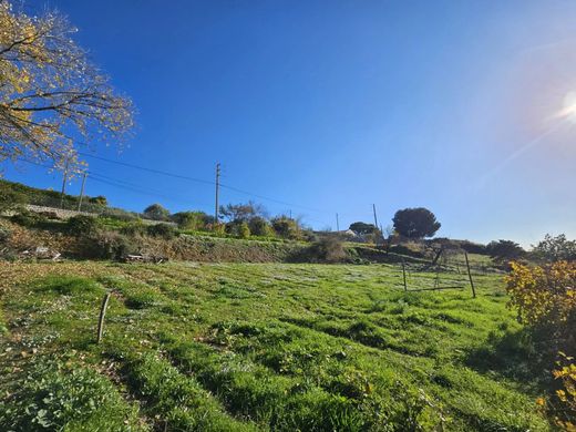 地皮  Saint-Laurent-du-Var, Alpes-Maritimes