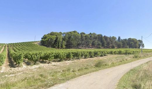 Boerderij in Limoux, Aude