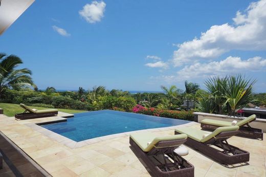 ‏קרקע ב  Grande Rivière Noire, Black River District