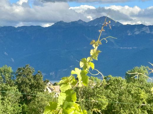 Apartament w Lutry, Lavaux-Oron District