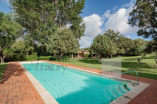 Villa in San Pantaleo, Provincia di Sassari