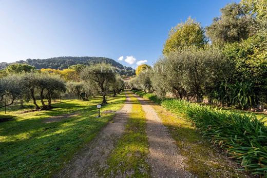 Πολυτελή κατοικία σε Mouans-Sartoux, Alpes-Maritimes
