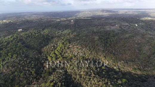 Land in São Francisco da Serra, Santiago do Cacém