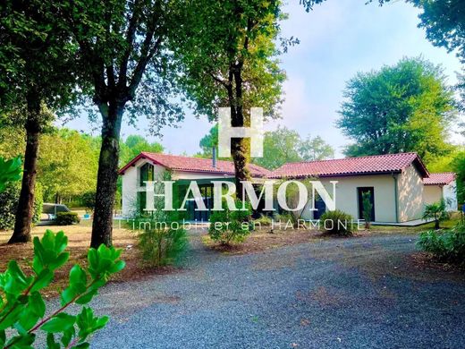 Lüks ev Sanguinet, Landes