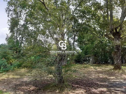 Terrain à Andernos-les-Bains, Gironde