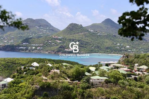 Teren w Gustavia