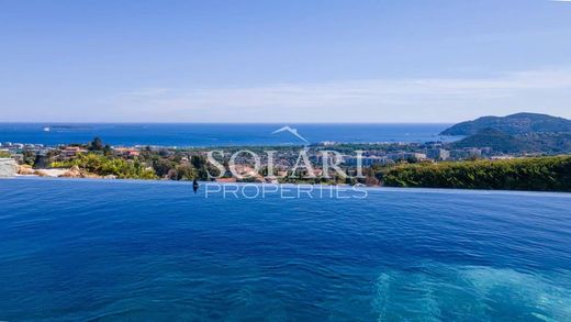 Mandelieu-la-Napoule, Alpes-Maritimesのヴィラ