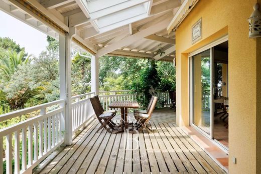 豪宅  Seignosse, Landes