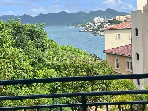 套间/公寓  Anse Marcel