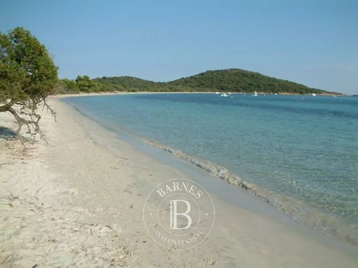 Teren w Sainte-Lucie de Porto-Vecchio, South Corsica