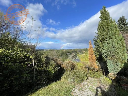 Luxury home in Dardilly, Rhône