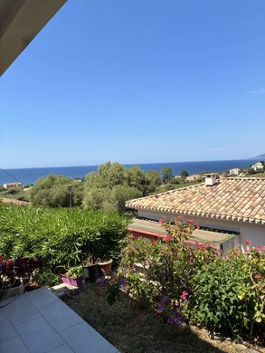 Daire Saint-Florent, Upper Corsica