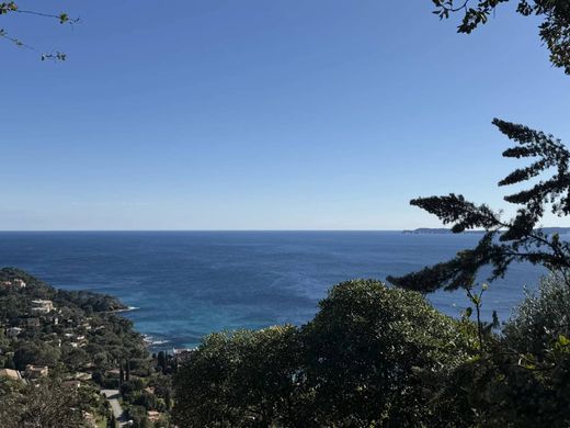 호화 저택 / Rayol-Canadel-sur-Mer, Var