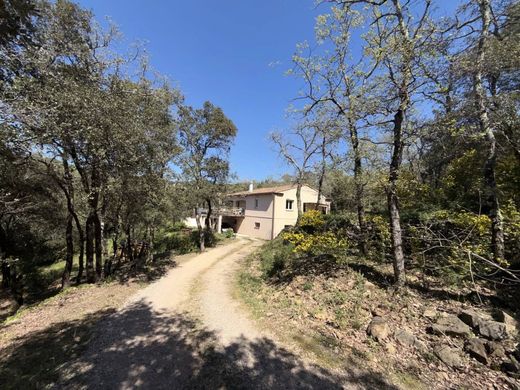 Luxury home in Besse-sur-Issole, Var