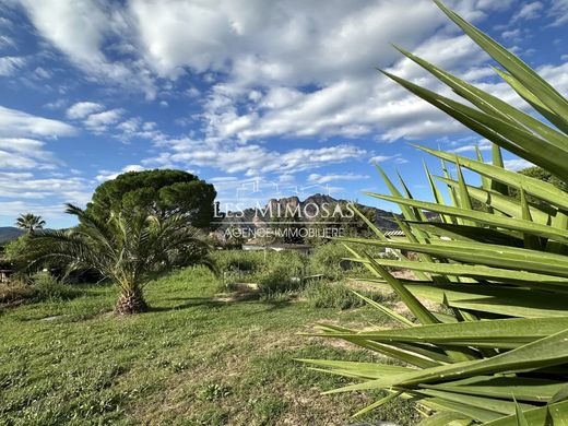 Teren w Roquebrune-sur-Argens, Var