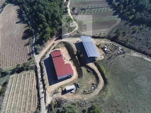 Rustik ya da çiftlik Ginestas, Aude