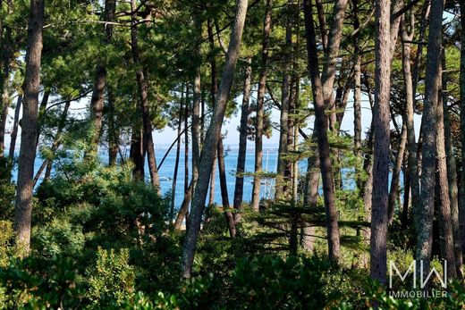 Вилла, Cap Ferret, Gironde
