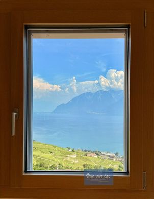 Duplex in Grandvaux, Lavaux-Oron District
