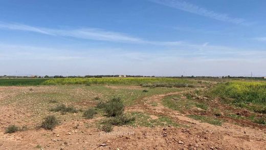 토지 / 마라케시, Marrakech