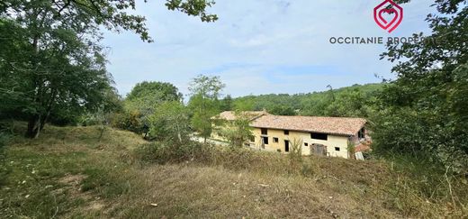 Rural or Farmhouse in Artigat, Ariège
