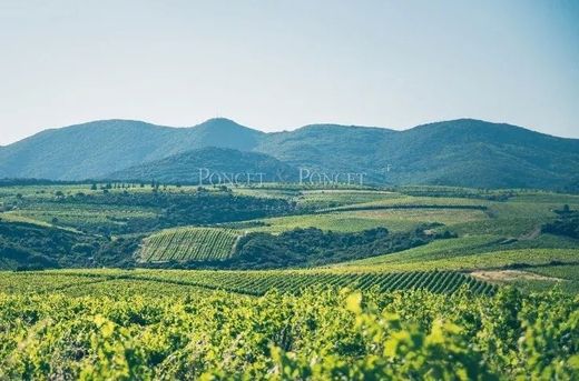 Casa rural / Casa de pueblo en Faugères, Herault