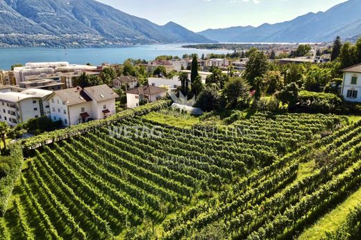 Terrain à Minusio, Locarno District