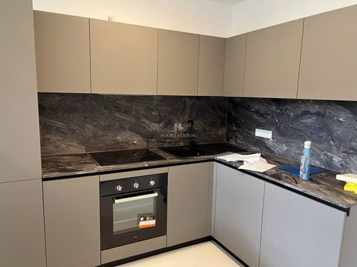 Apartment in Wasserbillig, Mertert
