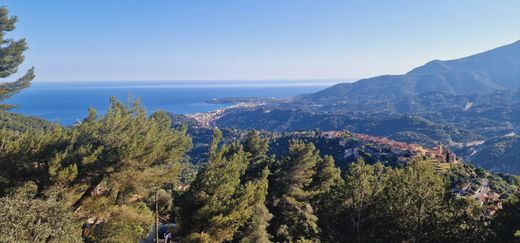 Maison de luxe à Castellar, Alpes-Maritimes