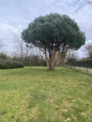 호화 저택 / Belin-Béliet, Gironde