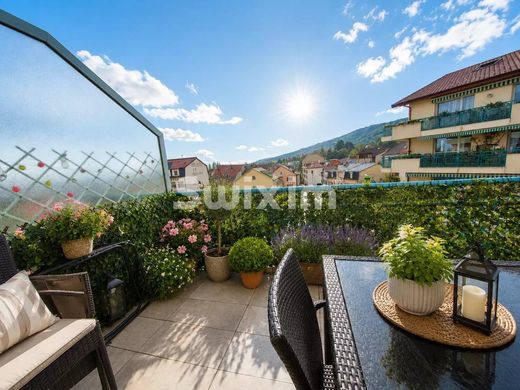Apartment in Gex, Ain